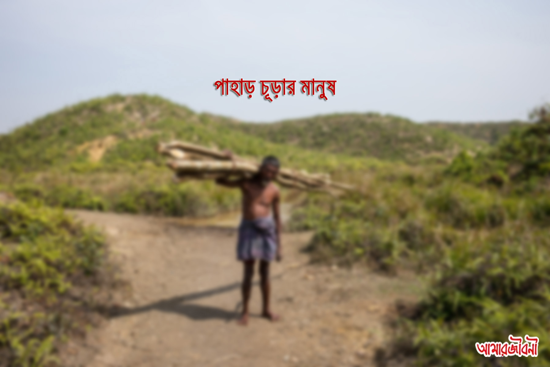 পাহাড়_চূড়ার_মানুষ, Bangladeshi_woodcutter, amarjiboni